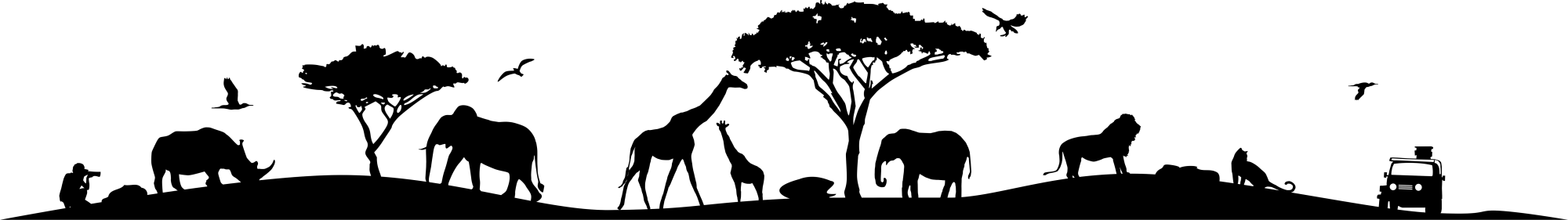 a silhouette of a person