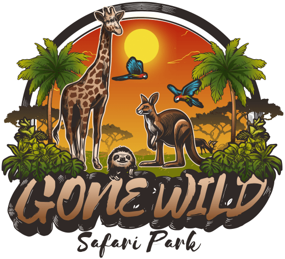 Gone Wild Safari