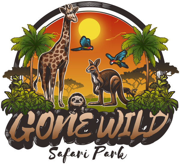 Gone Wild Safari