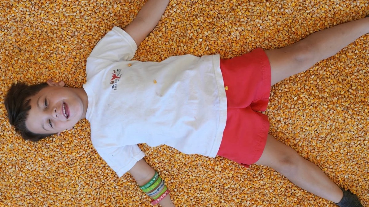 a close up of food on a blanket